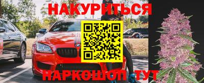 крисы Лесосибирск
