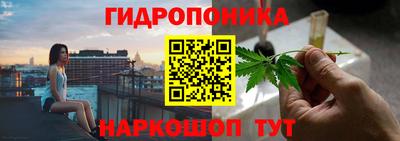 крисы Лесосибирск