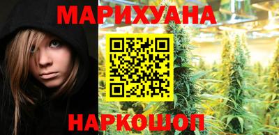 крисы Лесосибирск