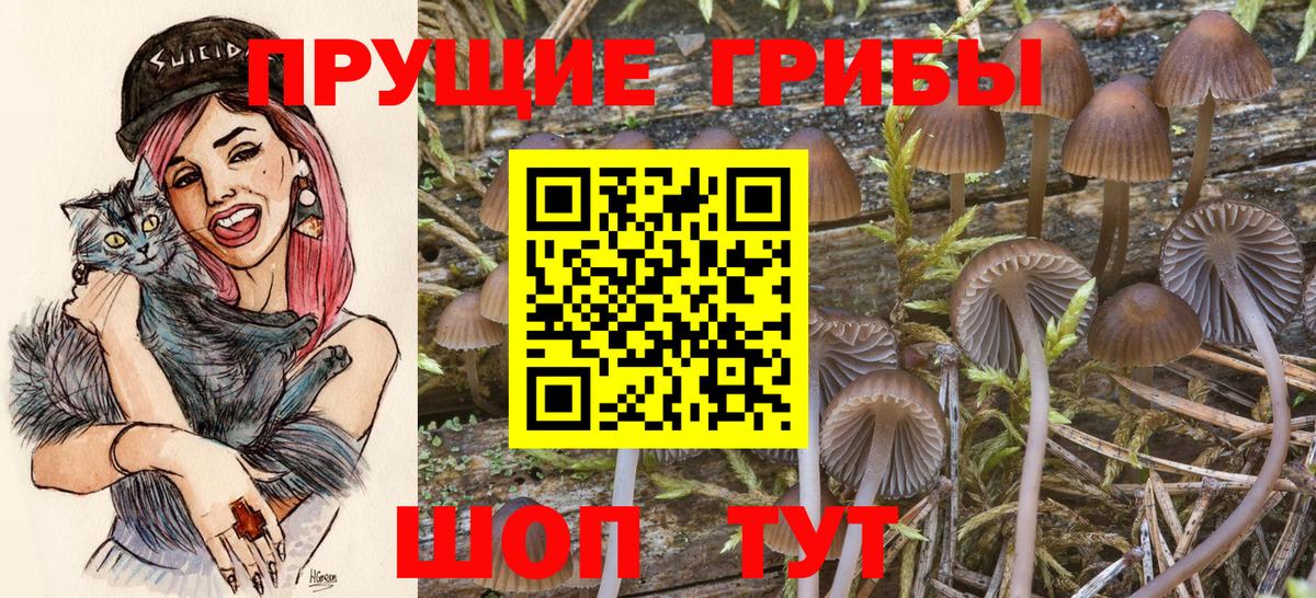 Галлюциногенные грибы прущие грибы  Вход с VPN  где можно купить наркотик  Симферополь 